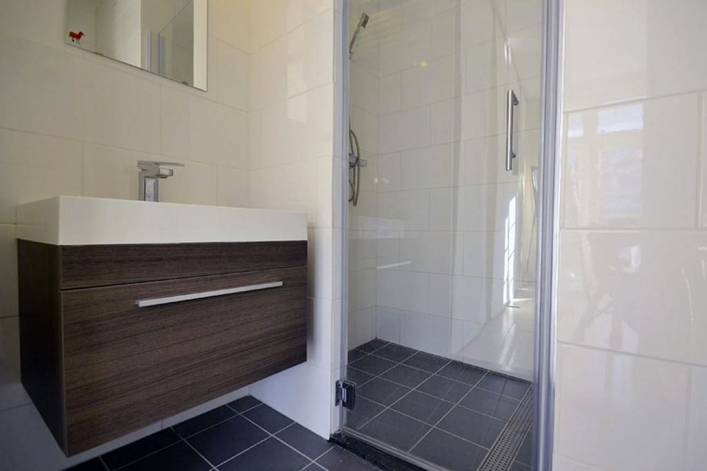Ensuite bathroom with shower
