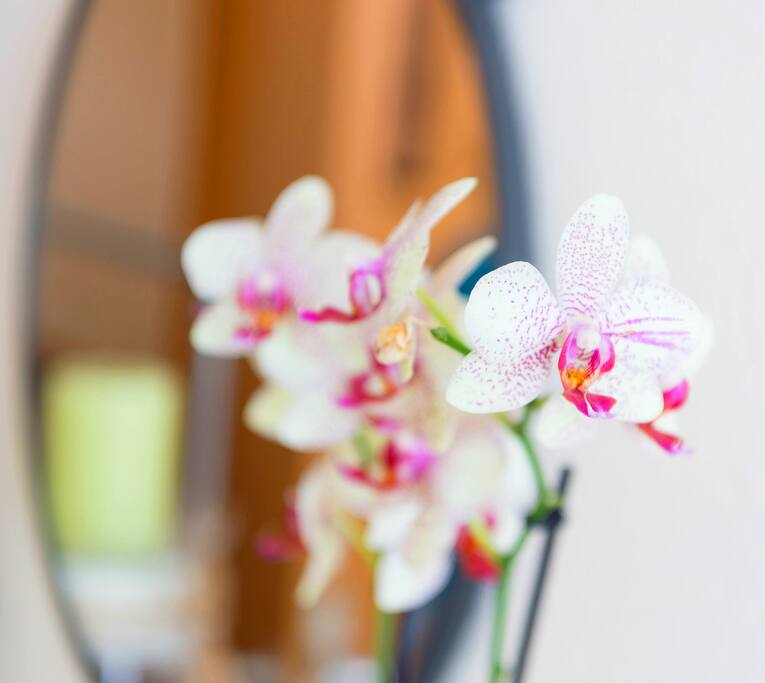 We like flowers :) !