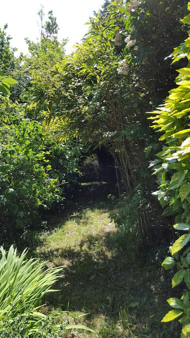 Le parc ombragé face a la maison