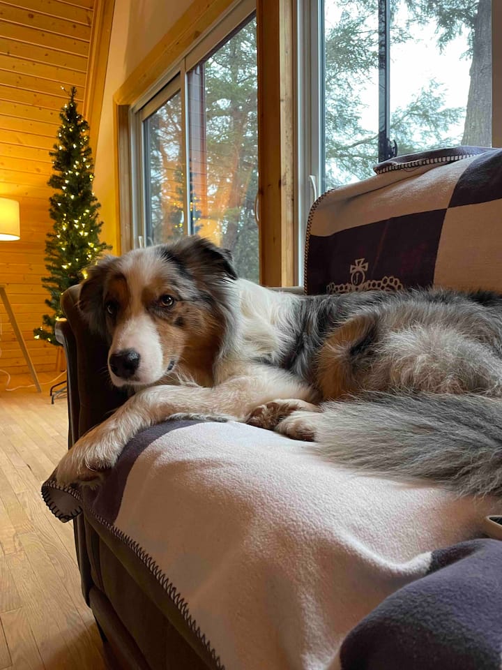 غرفة النوم 1