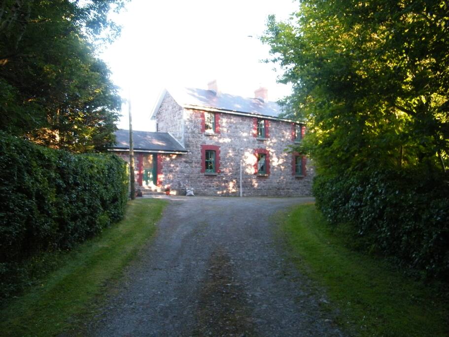 Back of the House