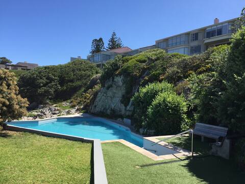 Whale Pad Sea  Front Apartment with Pool access