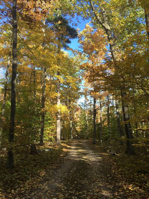 View of driveway