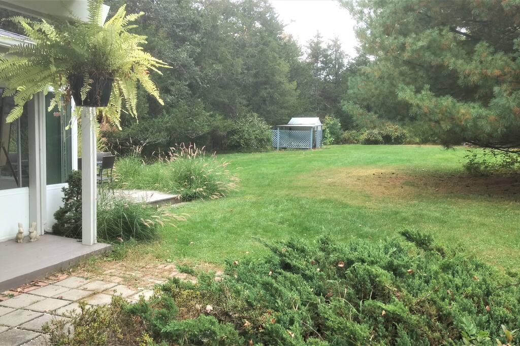 Large grassy yard, great for kids