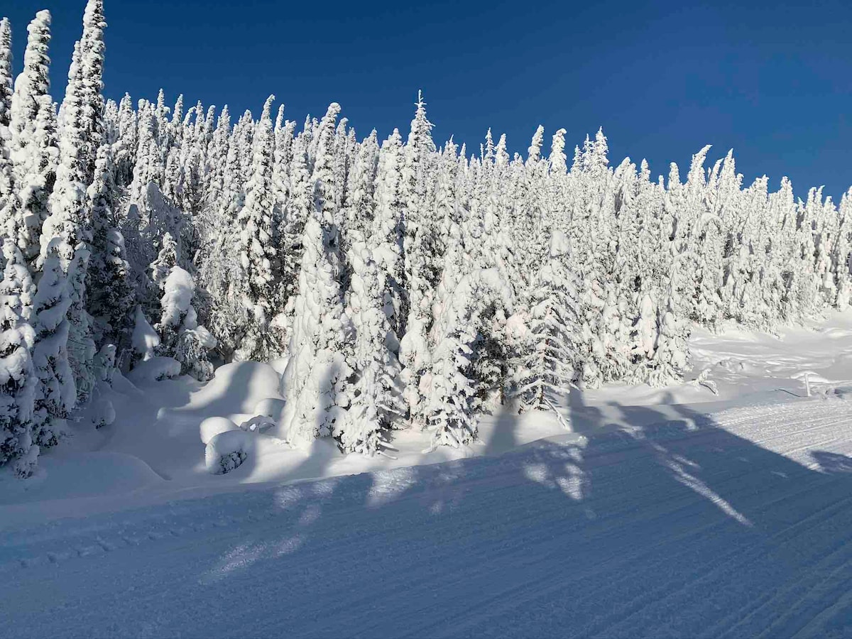A snow-covered landscape features tall evergreen trees blanketed in white snow, casting soft shadows on the ground. The clear blue sky provides a bright backdrop, enhancing the serene winter atmosphere.