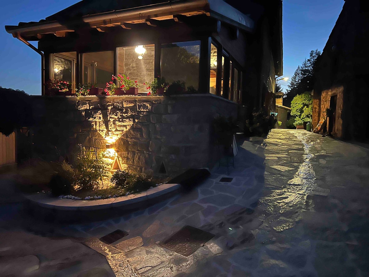 The evening exterior of the accommodation features a stone pathway illuminated by soft lighting. Potted plants are placed throughout, and large windows provide a glimpse of the interior. The sloped roof and surrounding greenery suggest a serene rural setting.