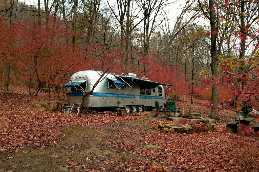 The last colors of Fall at the camp. Burning bush in November