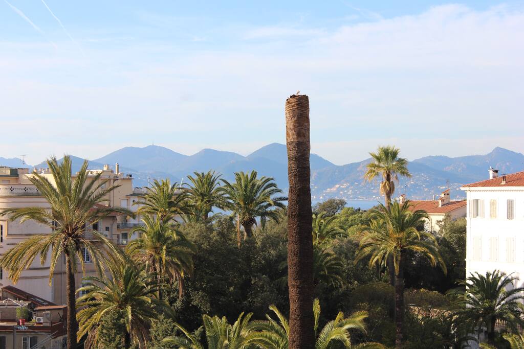 Balcony view