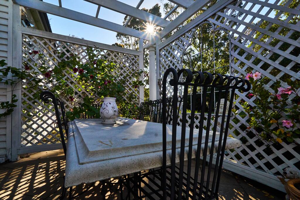 Courtyard garden