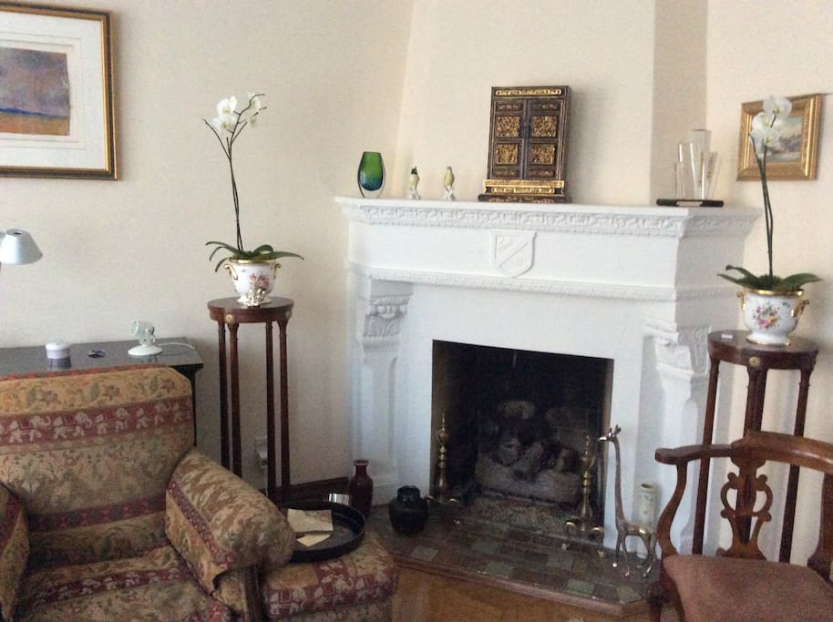 Living room gas fireplace