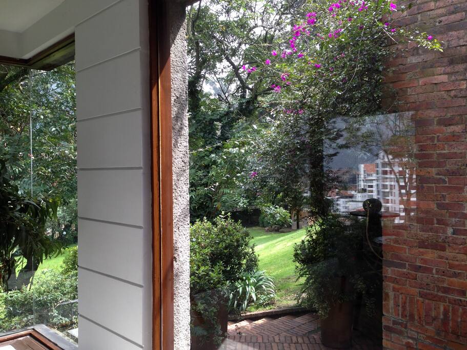 View to the garden