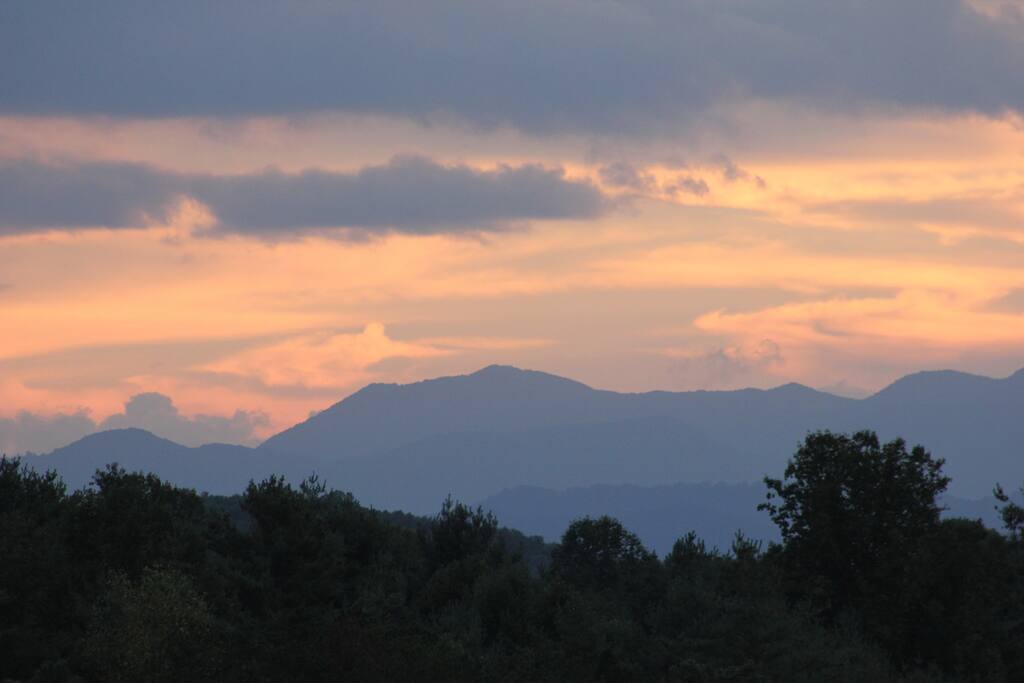 Mountain View Home, 15 min. to Asheville Houses for Rent in