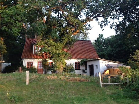 Top performing Airbnb: Secluded waterside cottage in Kalundborg