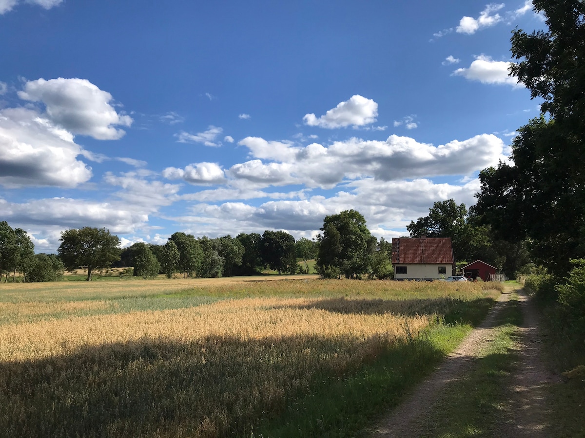 A serene scene features a simple summer house nestled in a green field, framed by trees. A dirt path leads toward the house, with an expansive sky filled with fluffy clouds. The surrounding nature is lush, providing a tranquil backdrop.