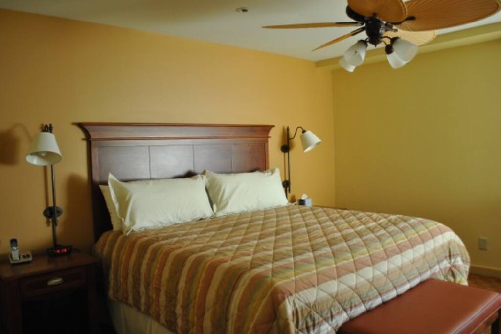 Queen Bed in bedroom