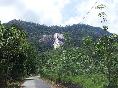 A scenic view of Stong Waterfall visible from a winding road, framed by lush greenery. Towering trees and dense foliage occupy the foreground, while the waterfall cascades down a rocky cliff, contrasting with the surrounding natural landscape beneath a partly cloudy sky.