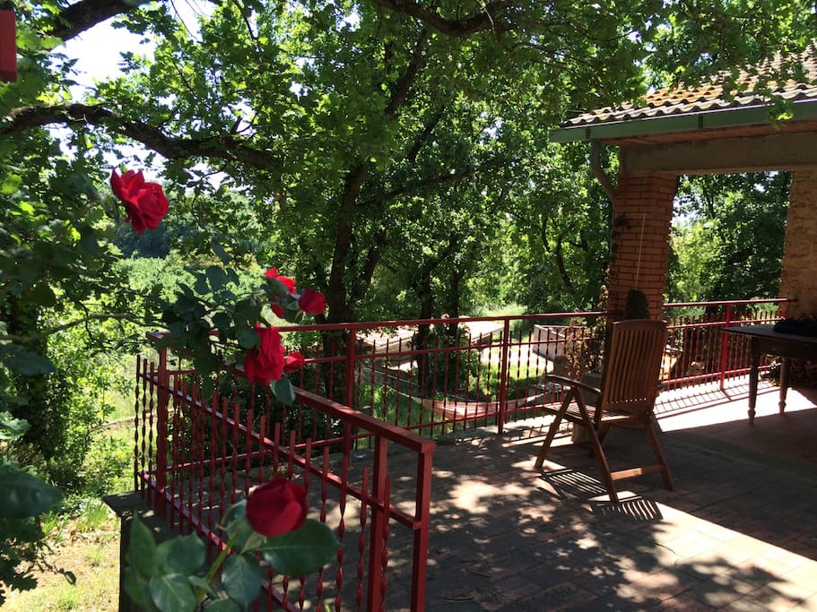 The terrace