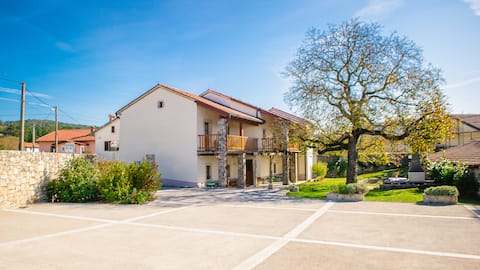 ana pravca, Karst holiday home