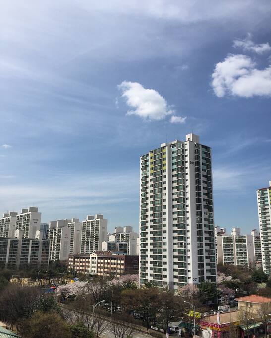 현관 view