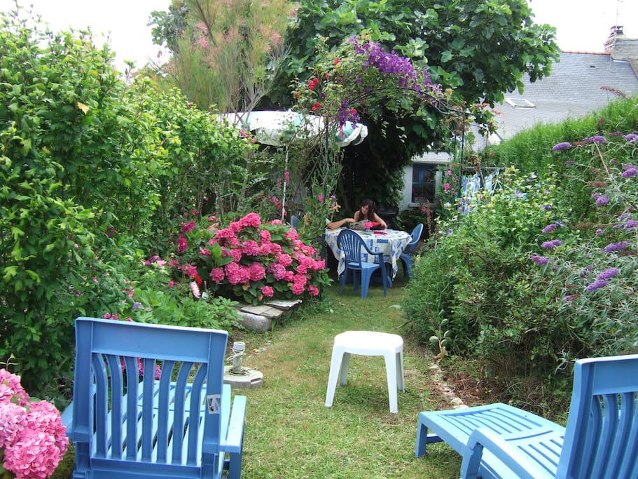Jardin à l'arrière de la maison