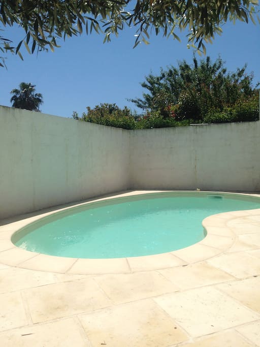 Piscine au sel de 6x3m environ, profondeur 1,2m