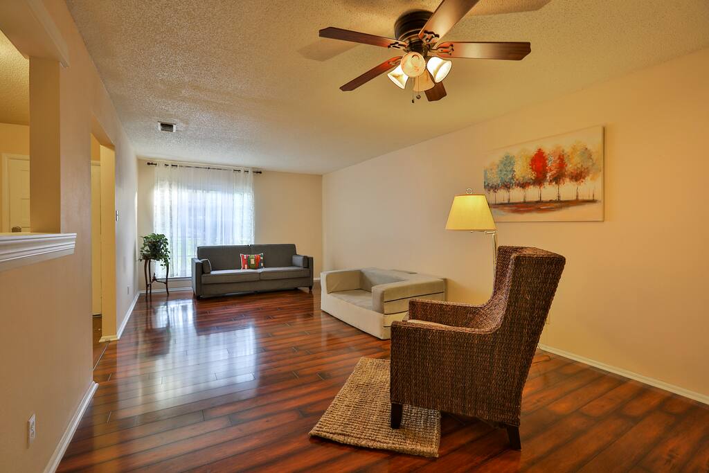 Living room with 2 sleeper sofas