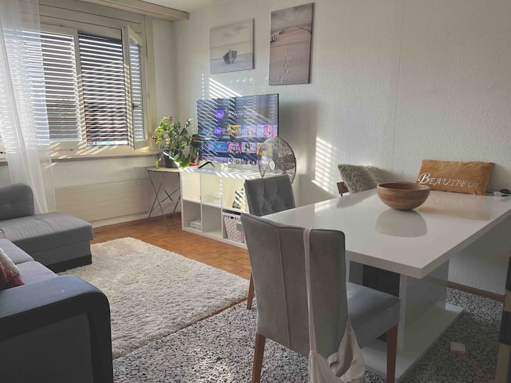 GrandSaconnex Vacation Rentals & Homes Geneva, Switzerland Airbnb