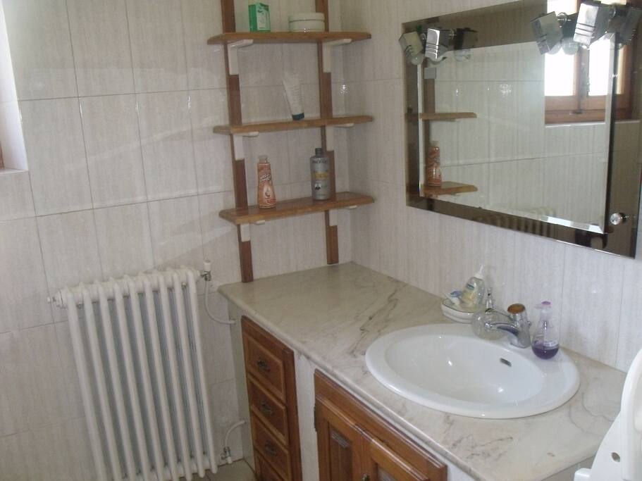 ampio bagno luminoso con vasca