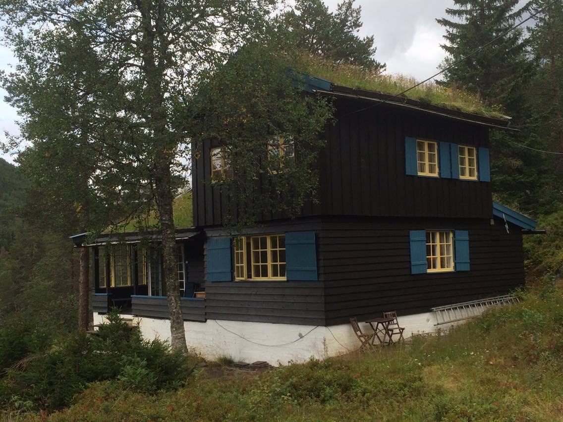A cabin with a distinctive black wooden exterior and a grass-covered roof is surrounded by trees and natural foliage. Large yellow windows contrast with the dark facade, providing ample natural light. A ladder leans against the structure, highlighting its two-story design.