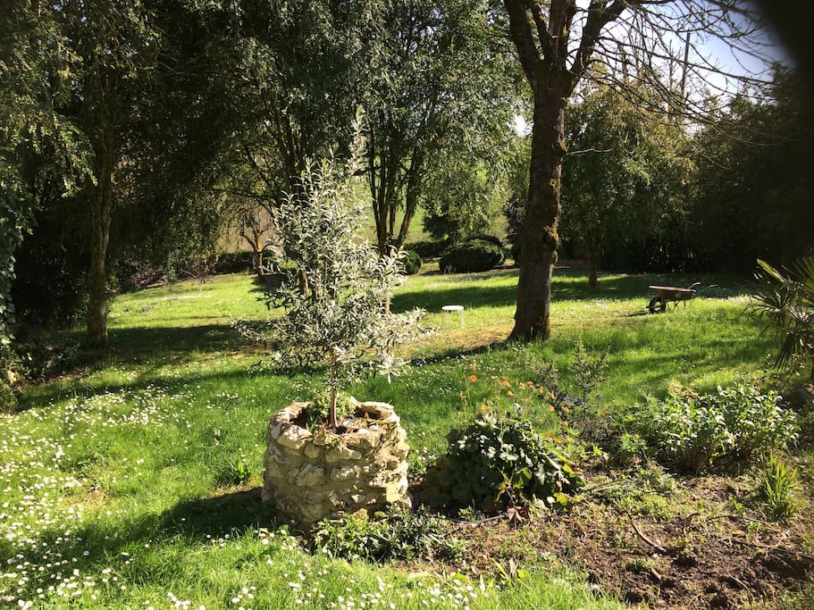 L'olivier