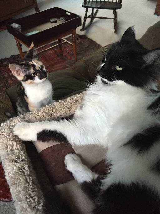Tessa and Hera