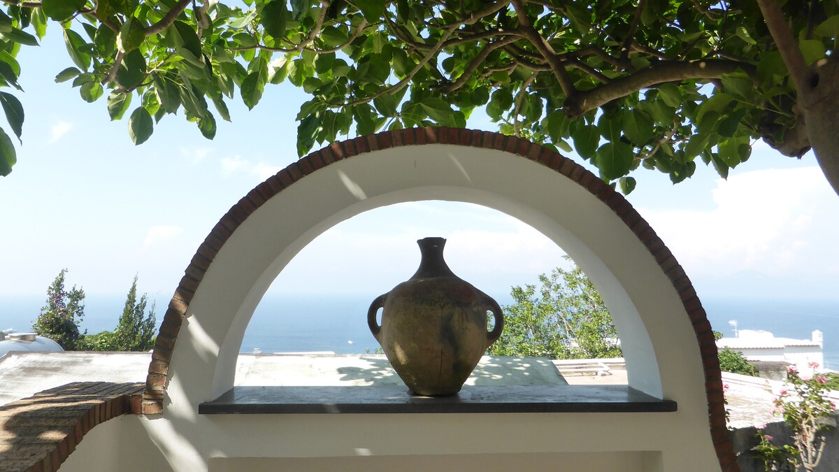 An arched structure frames a decorative ceramic pot, positioned on a stone ledge. Lush greenery from a nearby tree provides shade, with a clear view of the sea and sky in the background, inviting a sense of tranquility.