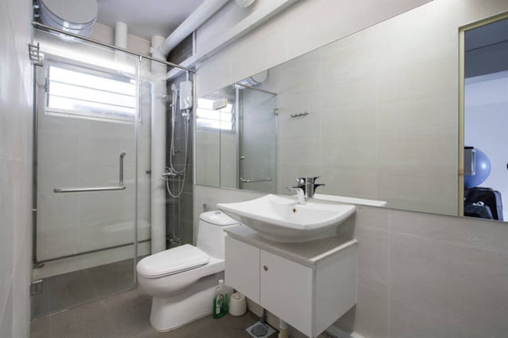 Hotel Like Washroom With Enclosed Shower Room
