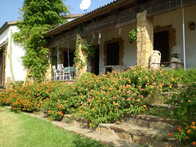 56CT15. CASA TOPAZIO 15 gallery image 2