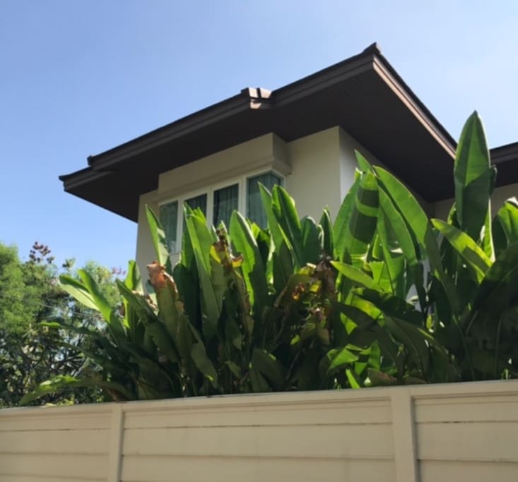 House Picture from outside