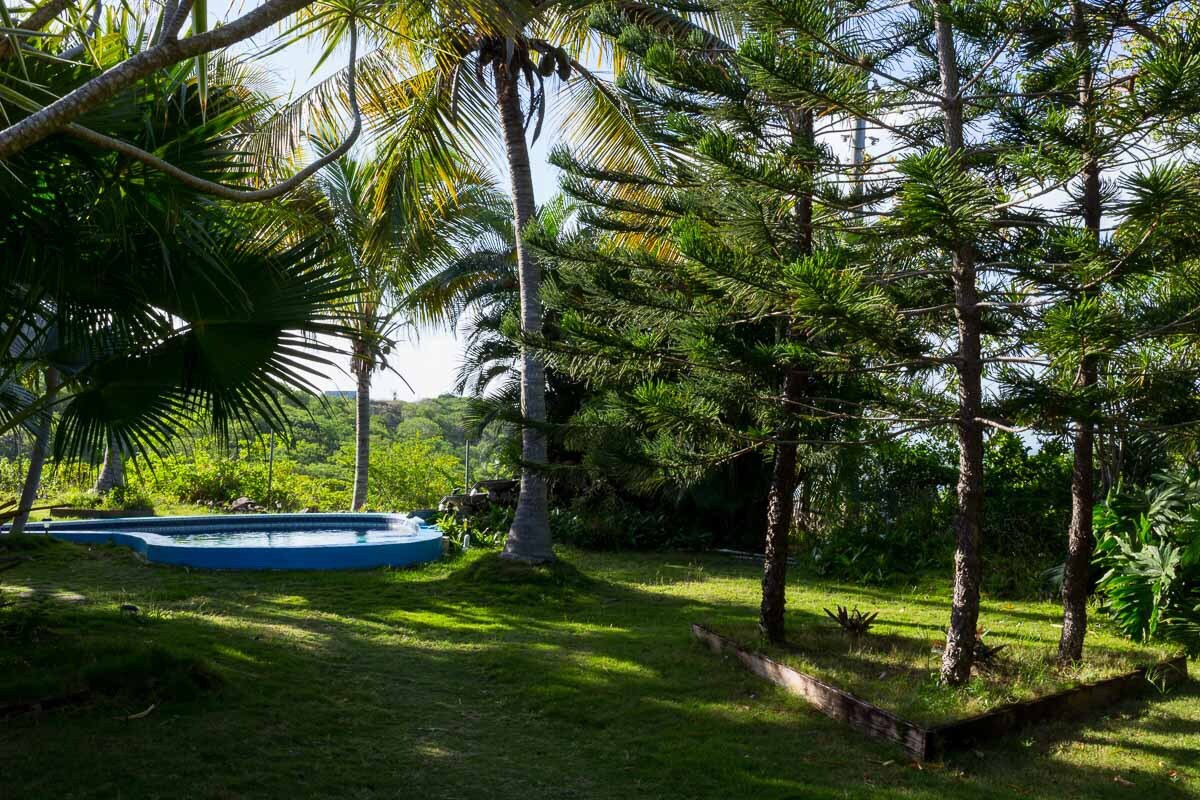 A serene outdoor space is presented, featuring a heart-shaped swimming pool surrounded by lush greenery. Tall palms and coniferous trees provide shade over a well-maintained lawn, creating a tranquil atmosphere suitable for relaxation in nature.