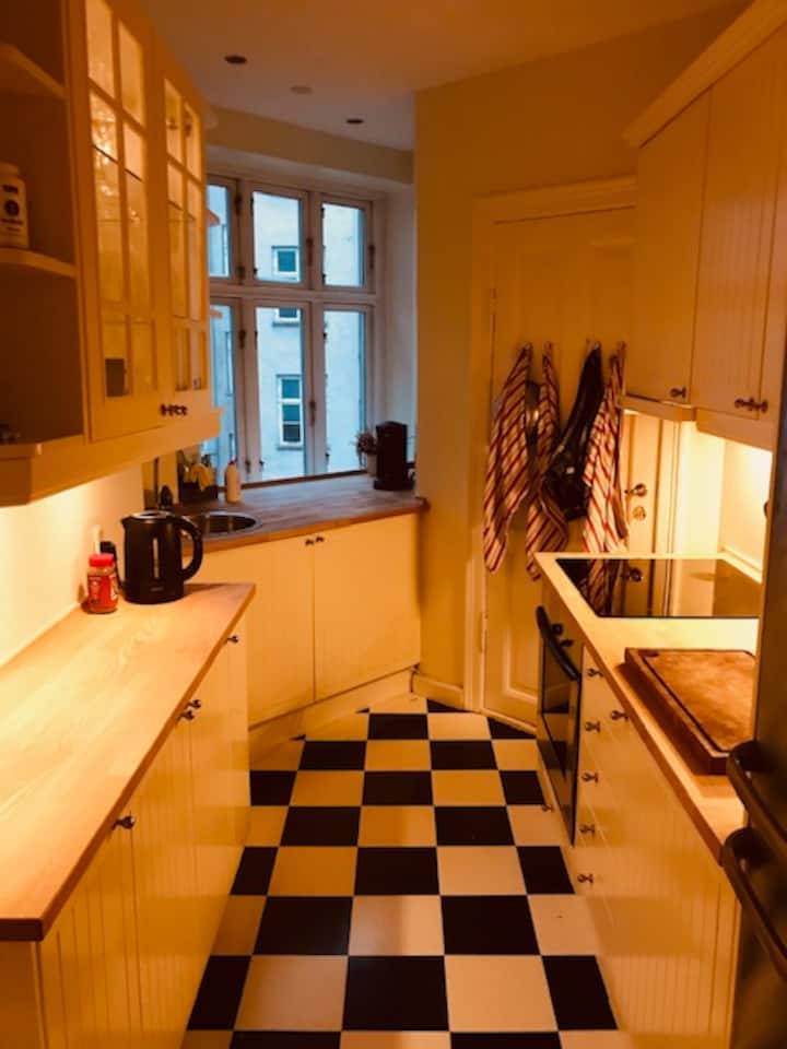 Copenhagen Apartment Rentals Denmark Airbnb