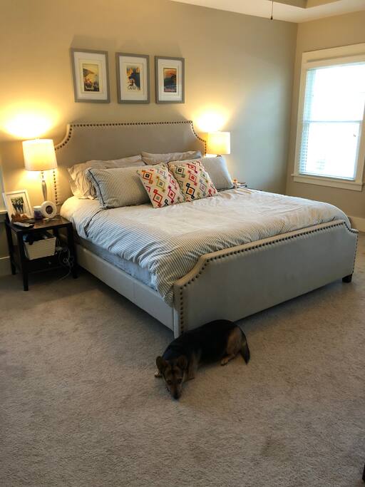 Master bedroom has a king size bed, adorable corgi will not be present.