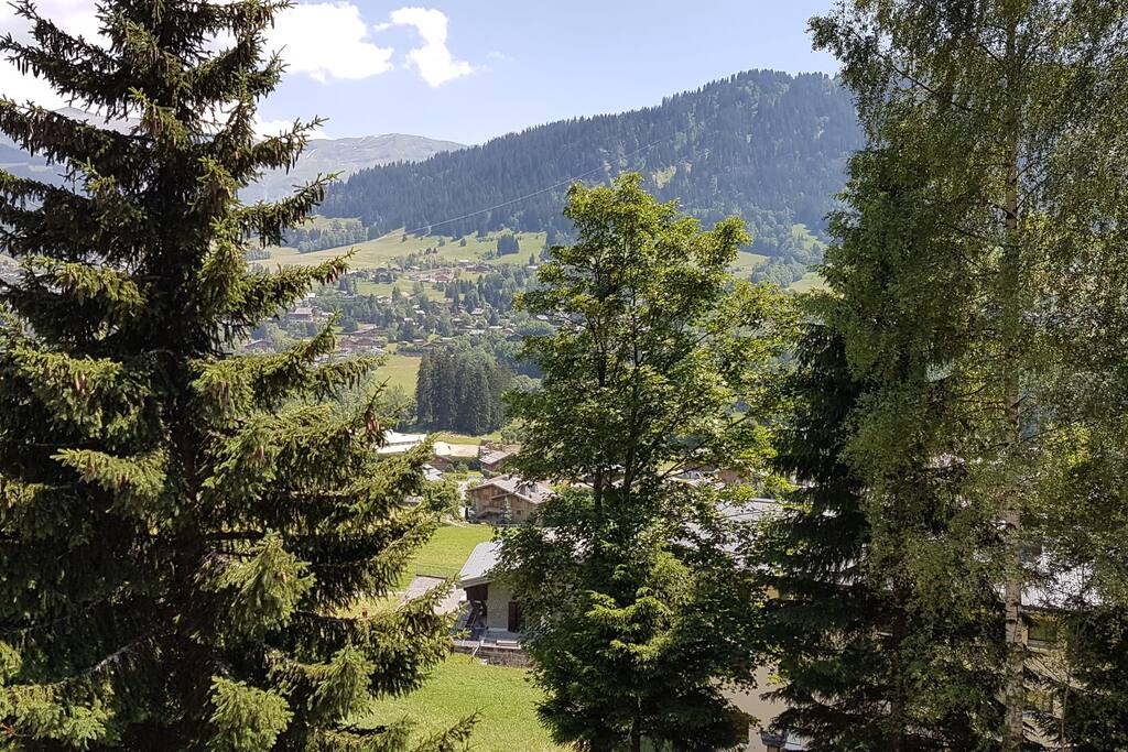 Vue sur Rochebrune et les pistes