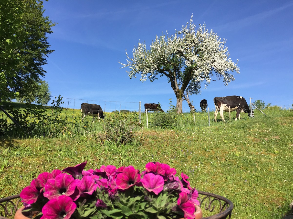 A vibrant display of pink flowers rests in a pot in the foreground, while a grassy hillside showcases grazing cows under a clear blue sky. A blooming tree stands on the hill, complementing the serene countryside setting.