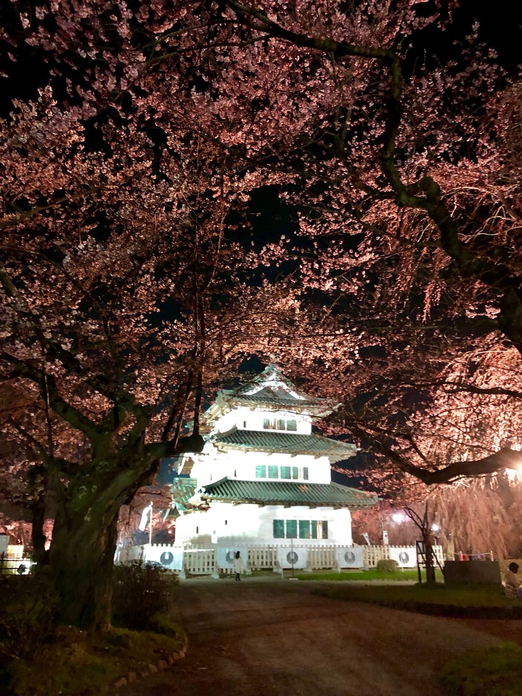 花开艳丽 不羁绯红 弘前観桜会 日本旅游攻略 尽在airbnb爱彼迎 花开艳丽 不羁绯红 弘前観桜会 日本旅游攻略 尽在airbnb爱彼迎