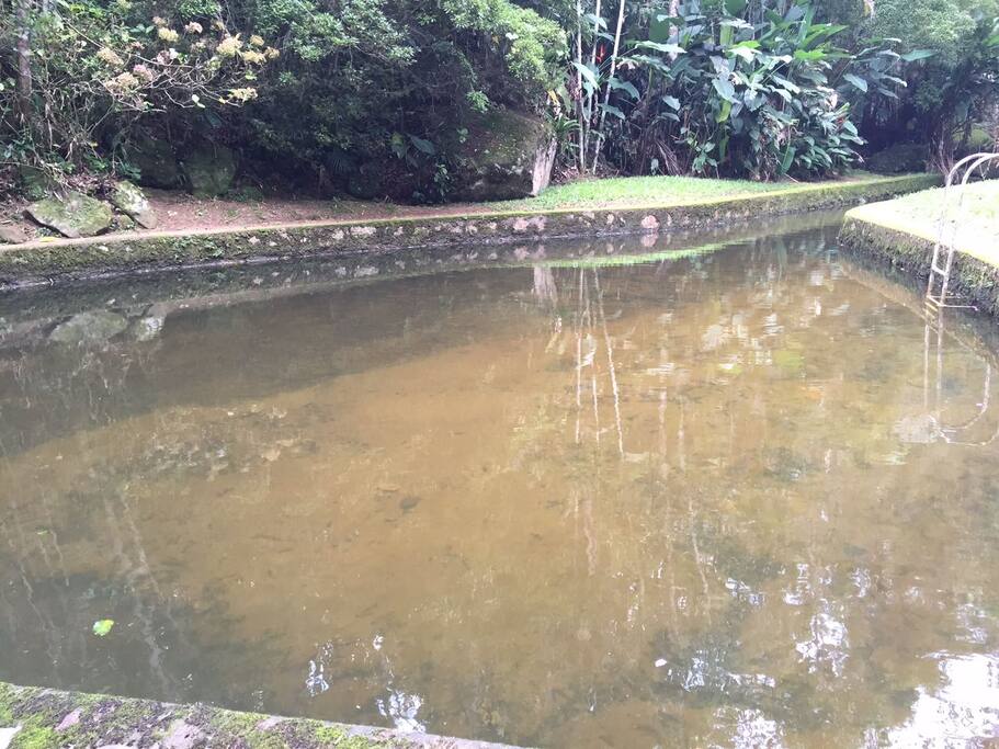piscina natural