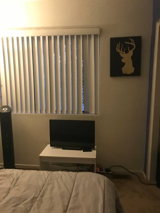 TV inside room