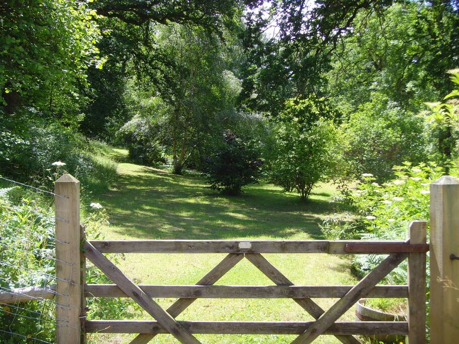 Garden view