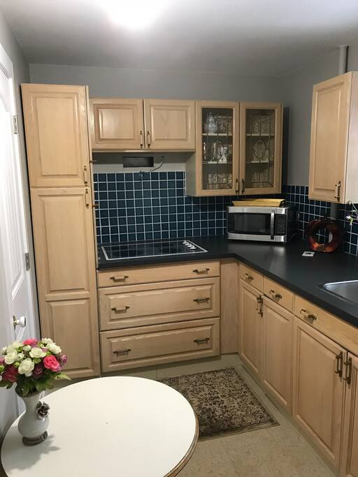 Shared kitchen in the basement