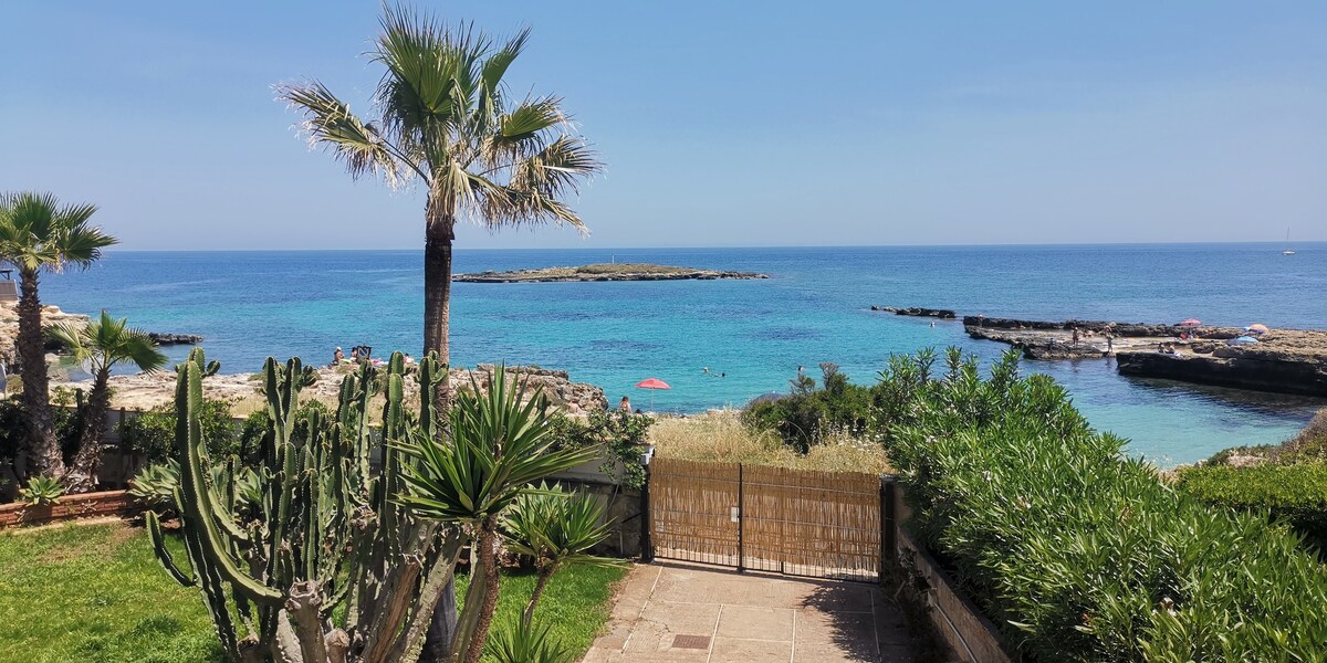 A clear view features calm turquoise waters and a rocky coastline, framed by tropical palm trees and various succulent plants. Sunbathers are visible on the beach in the distance, while vibrant umbrellas dot the shoreline under a bright blue sky.