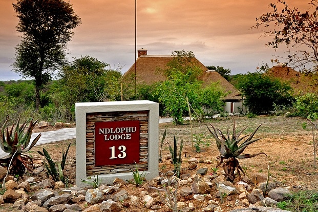 A well-defined lodge entrance is marked by a prominent sign displaying 'NDLOPHU LODGE 13.' Surrounding vegetation features various plants and shrubs, set against a backdrop of a thatched-roof structure under a softly lit sky.