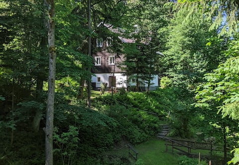 Popular Airbnb listing: Chata Na Černém potoce (Cottage on the Black Creek) in Rokytnice Nad Jizerou