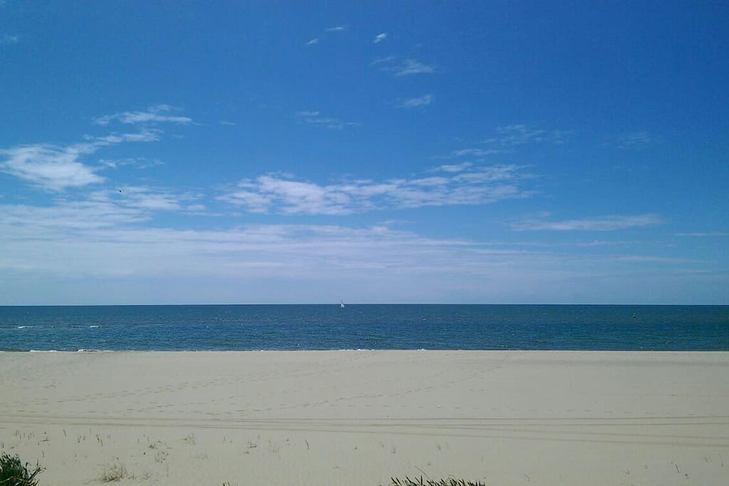 Playa de los araganes