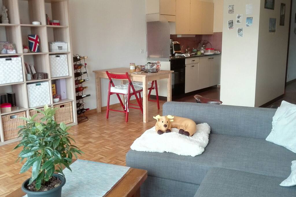 Living room 3/3 and semi-open kitchen